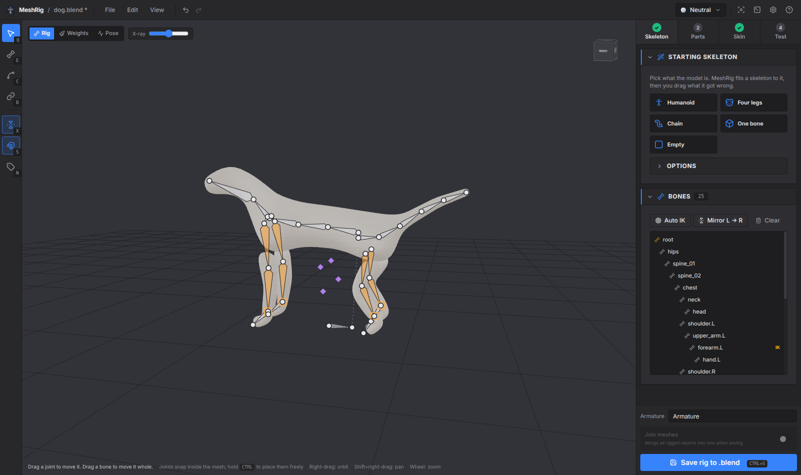 A four-legged skeleton fitted to a dog
